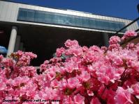 Imagine atasata: Iulius Mall - 2015.04.23 - 02.jpg
